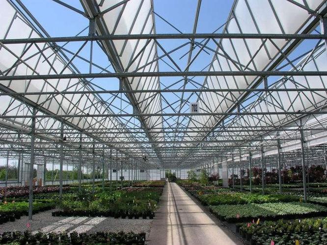 植物工廠智能化管控技術(shù)的具體應(yīng)用方法和效果如何？